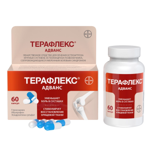 Терафлекс Адванс капсулы №60